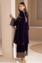 Luxury | Velvet | Embroidered | 3 pcs - ZNH Textile 