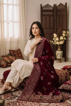 Bareeze Luxury Velvet Shawl Test - ZNH Textile 